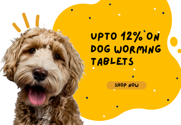 Save upto 12% on Affordable Dog Worming Tablets for Your Furry Friend!